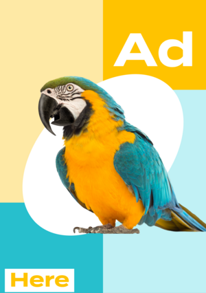 Descripción de la imagen